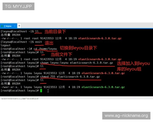 OG视讯网站的安全保障措施详解，确保玩家资金和个人信息的双重安全